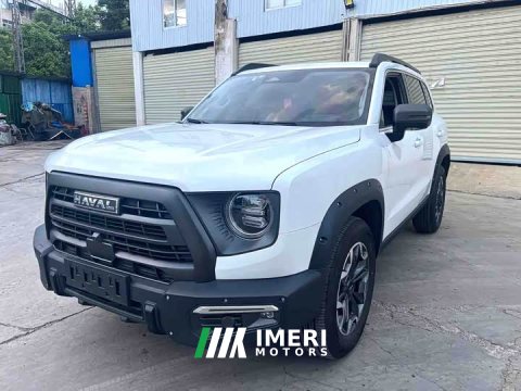 2024 Great Wall Dachshund 2.0T DCT Chinese Rural Dog Edition - ავტომობილი ჩინეთიდან