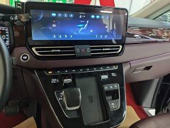 Hongqi HQ9 2023 2.0T Zhilian Qiling Edition - photo 13