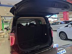 Hongqi HQ9 2023 2.0T Zhilian Qiling Edition - photo 19