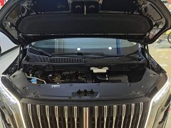 Hongqi HQ9 2023 2.0T Zhilian Qiling Edition - photo 20