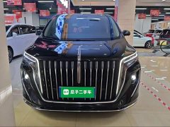 Hongqi HQ9 2023 2.0T Zhilian Qiling Edition - photo 3