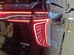 Hongqi HQ9 2023 2.0T Zhilian Qiling Edition - photo 8