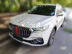Hongqi HS5 2019 2.0T Zhilian Flagship Edition - ფოტო 3