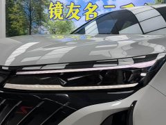 Hongqi HS5 2025 2.0T four-wheel drive Qixiang Pro version - photo 17