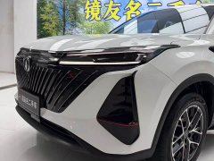 Hongqi HS5 2025 2.0T four-wheel drive Qixiang Pro version - photo 20