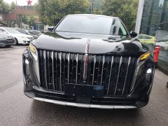 Hongqi HS7 2024 2.0T automatic two-wheel drive Qiyue version, five seats - ფოტო 3