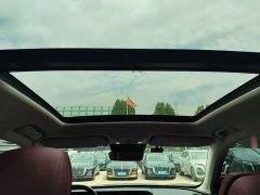 Hongqi HS5 2023 2.0T Qixiang Pro 500,000 Units Commemorative Edition - photo 14