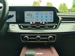 Hongqi HS5 2023 2.0T Qixiang Pro 500,000 Units Commemorative Edition - photo 9