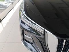 Hongqi H5 2024 2.0T Automatic Zhilianqichang Edition - фото 13