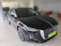 Hongqi H5 2024 2.0T Automatic Zhilianqichang Edition - фото 7