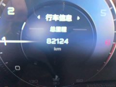 Hongqi H9 2020 3.0T Zhilian Qiling four-seater version - ფოტო 11