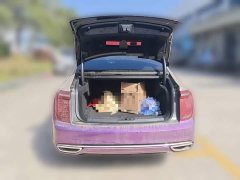 Hongqi H9 2020 2.0T Zhilian Flagship Edition - photo 10