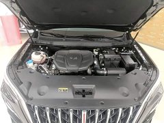 Hongqi HS5 2023 2.0T Qixiang Pro Edition - ფოტო 17
