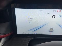 Hongqi H6 2025 2.0T Zhimei Edition - photo 6