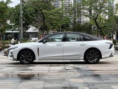 Hongqi H6 2025 2.0T Zhimei Edition - photo 9