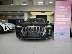 Hongqi H5 2025 2.0T automatic Qichang version - ფოტო 2