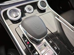 Hongqi H9 2020 2.0T Zhilian Qichang Edition - ფოტო 15