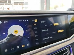 Hongqi H9 2020 2.0T Zhilian Qichang Edition - ფოტო 20
