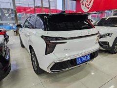 FAW Red Flag HS3 2.0T AWD Youwei Edition - ფოტო 3