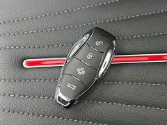 Hongqi H5 2024 2.0T Automatic Intelligent Connected Flag Edition - ფოტო 19