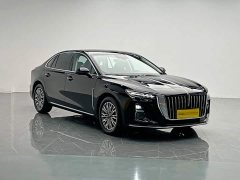 Hongqi H5 2024 2.0T Automatic Intelligent Connected Flag Edition - ფოტო 8