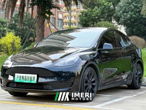 2022 Tesla Model Y Rear-Wheel Drive - ავტომობილი ჩინეთიდან