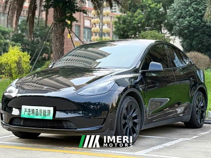 Tesla Model Y Rear-Wheel Drive