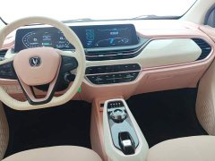 Changan Benben E-Star 2022 Qingxin Edition Colorful Edition Lithium Iron Phosphate - ფოტო 12