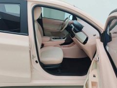 Changan Benben E-Star 2022 Qingxin Edition Colorful Edition Lithium Iron Phosphate - ფოტო 8