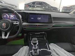 Hongqi H9 2024 2.0T Qichang Private Fashion Edition - ფოტო 13