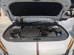 Hongqi H6 2024 2.0T Zhi Shang Edition - photo 20