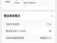 Hongqi H5 2022 Classic 1.5T DCT Qiyun Edition - ფოტო 12