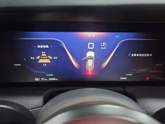 Hongqi E-HS9 2022 690km Qixiang Edition Six-Seater - ფოტო 14