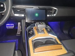 Hongqi E-HS9 2021 Qixian Edition 6-Seater - ფოტო 16