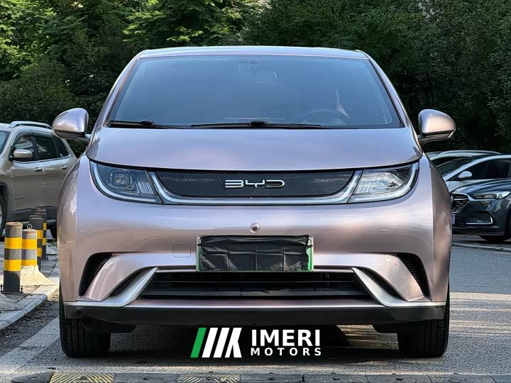 BYD Dolphin 2021 405km Free Edition