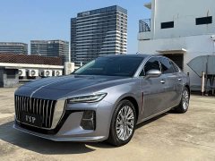 Hongqi H5 2023 2.0T Automatic Zhilianqichang Edition - photo 1