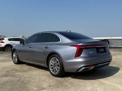 Hongqi H5 2023 2.0T Automatic Zhilianqichang Edition - photo 18