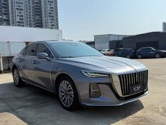 Hongqi H5 2023 2.0T Automatic Zhilianqichang Edition - photo 3