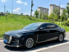 Hongqi H5 2023 2.0T Automatic Zhilianqichang Edition - photo 2