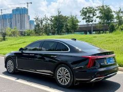 Hongqi H5 2023 2.0T Automatic Zhilianqichang Edition - photo 9