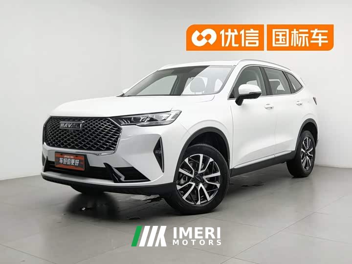 Haval H6 2022 third generation 1.5T automatic two-wheel drive Pro