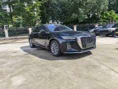 Hongqi H5 2023 2.0T Automatic Zhilianqichang Edition - photo 3