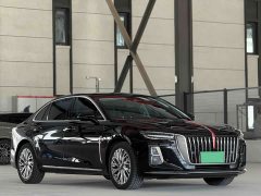 Hongqi H5 2024 2.0T Automatic Zhilianqichang Edition - photo 3