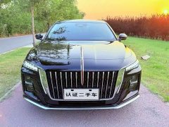 Hongqi H5 2023 2.0T Automatic Zhilianqichang Edition - photo 2