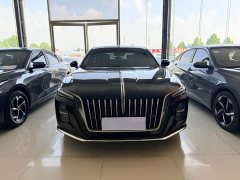Hongqi H5 2023 2.0T Automatic Zhilianqichang Edition - ფოტო 2