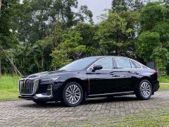 FAW H5 2.0T Edition - photo 1