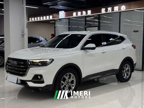 2022 Haval H6 2021 National Trend 1.5T Automatic Champion Edition - ავტომობილი ჩინეთიდან