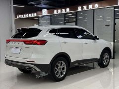 Haval H6 2021 Guochao Edition 1.5T Automatic Champion Edition - ფოტო 19