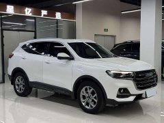 Haval H6 2021 Guochao Edition 1.5T Automatic Champion Edition - ფოტო 3