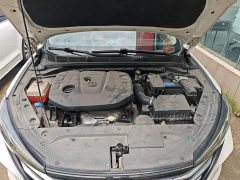 Changan Eado 2021 PLUS 1.6L GDI CVT Luxury - ფოტო 16